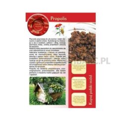 Broszurka informacyjna 20szt. – Propolis