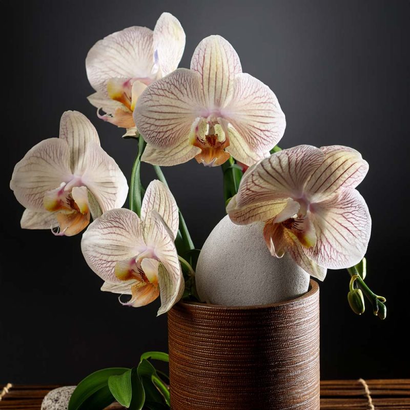 Zapach do świec - Orchidea - obrazek 3