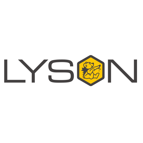 ŁYSOŃ